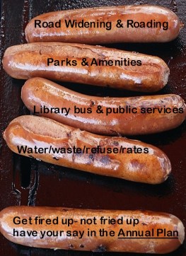 Get fired up not fried up have your say in the Annual Plan