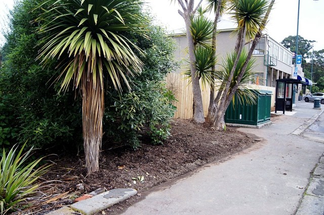 Main street landscaping project - Portobello