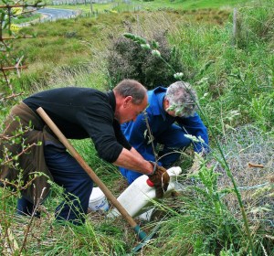 STOP volunteers at a working bee Planting