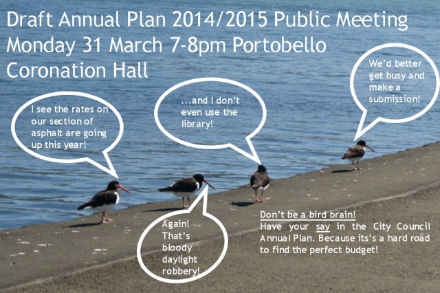 Don't be a bird brain - have your say in the Annual Plan