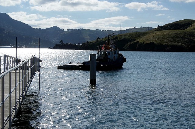 Moving out of the Bay