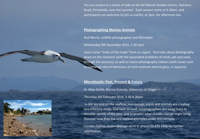 Marine Science Summer Series